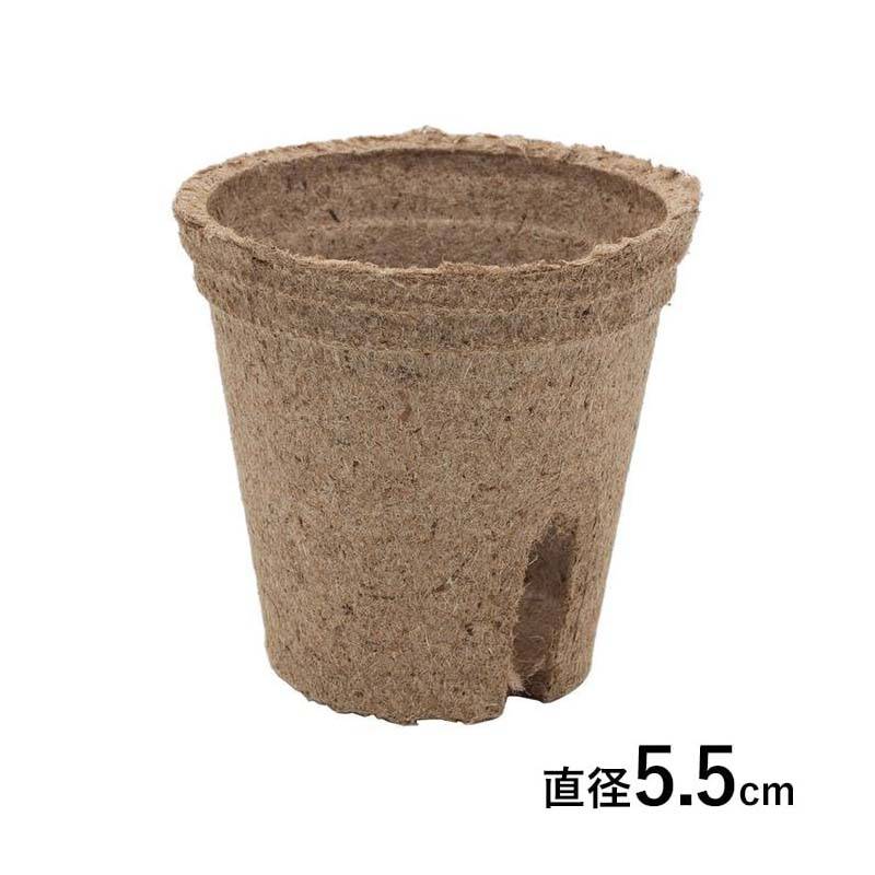 そのまま植えられるエコポット ジフィーポット 丸型 5.5cm 3400個入 #119 種まき 育苗 Seed fun サカタのタネ 代引不可