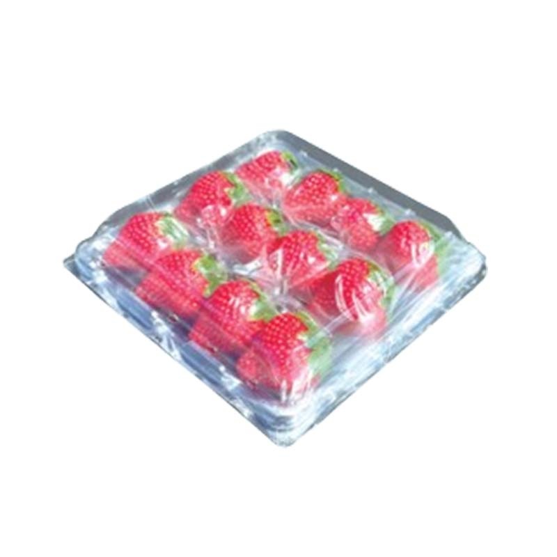 ゆりかーごE２４　　大石産業　いちご用 大石産業 ゆりかーご Eタイプ 24個用 E24 161×233×H29 トレー