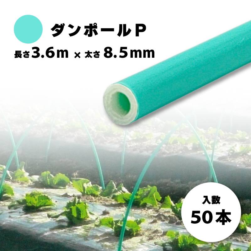 50本 ダンポールP マル85 緑 長さ 3.6m × 太さ 8.5mm 農業資材 農業用 トンネル支柱 園芸 畑作 畑 野菜 野菜栽培 宇部エクシモ タS 個人宅配送不可 代引不可