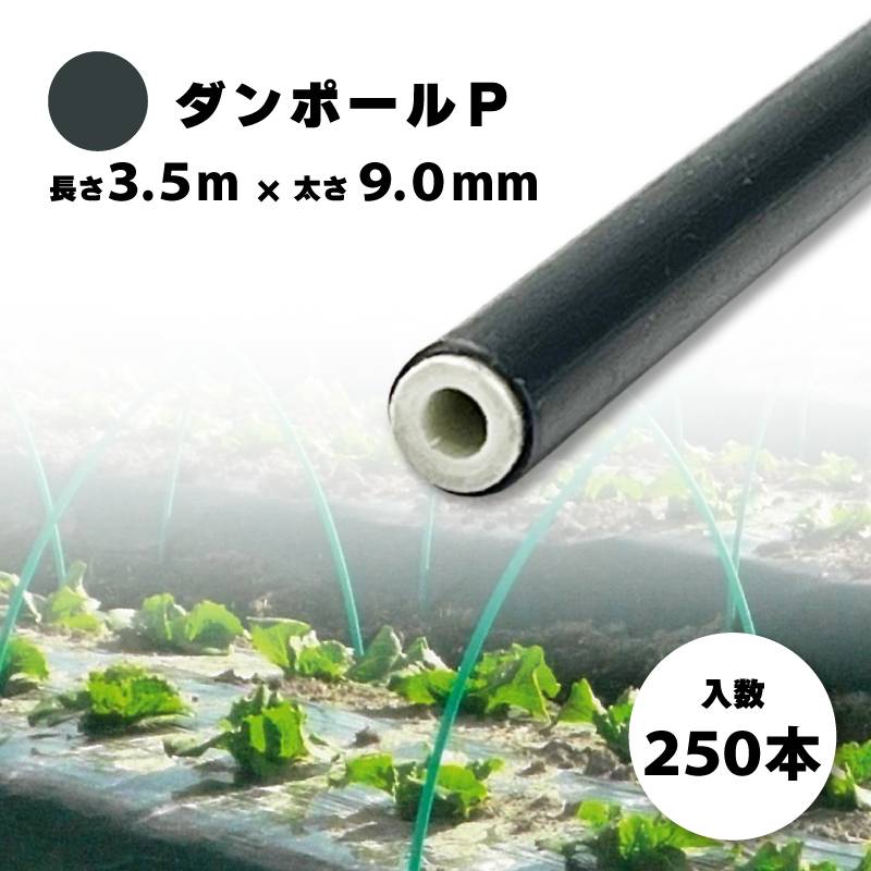250本 ダンポールP マル90 黒 長さ 3.5m × 太さ 9mm 農業資材 農業用 トンネル支柱 園芸 畑作 畑 野菜 野菜栽培 宇部エクシモ タS 個人宅配送不可 代引不可