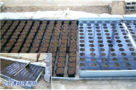 ニッチポッター N35P 10.5丸 9角 ポット数 6×13 78 標準穴径 68 槍木産業 うつぎ産業 カ施 代引不可