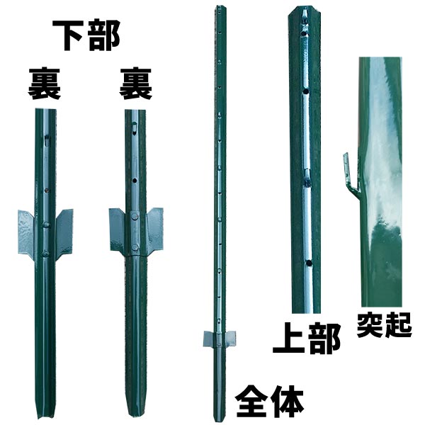 支柱のみ 緑 アニマルガードフェンス 1.2m用 支柱11本 グリーン アニマルフェンス 交換用 支柱 防獣対策 シンセイ 代引不可 GRF12