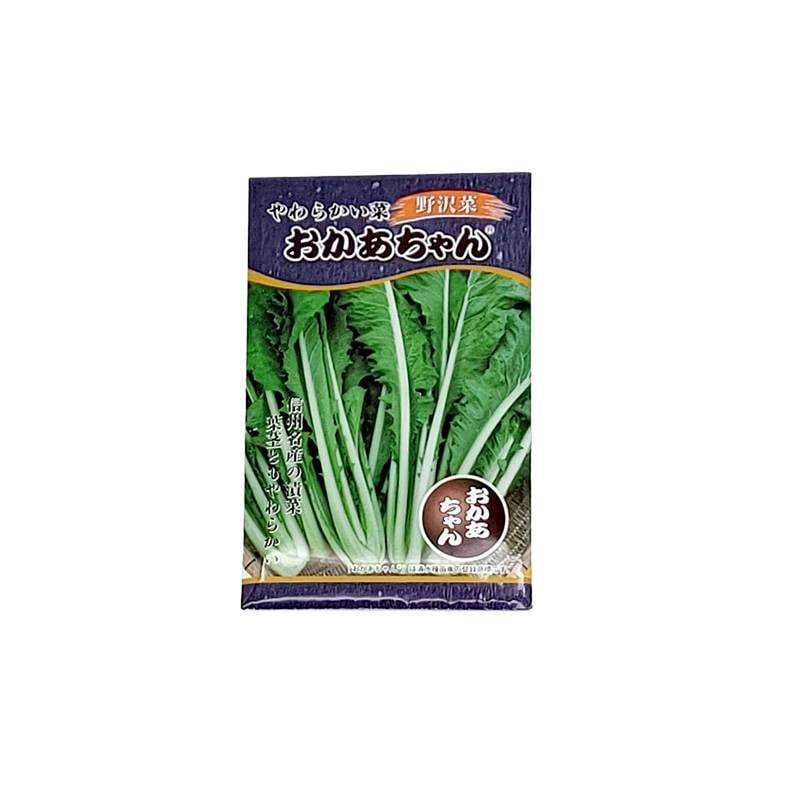 種子18ml 野沢菜 やわらかい菜 おかあちゃん F1 シミズのタネ 漬け菜 日本タネセンター 吉S DZ