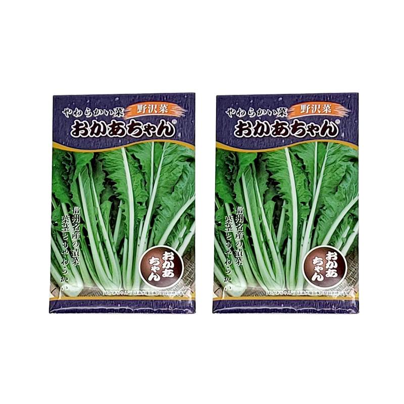 2袋 種子18ml 野沢菜 やわらかい菜 おかあちゃん F1 シミズのタネ 漬け菜 日本タネセンター 吉S DZ