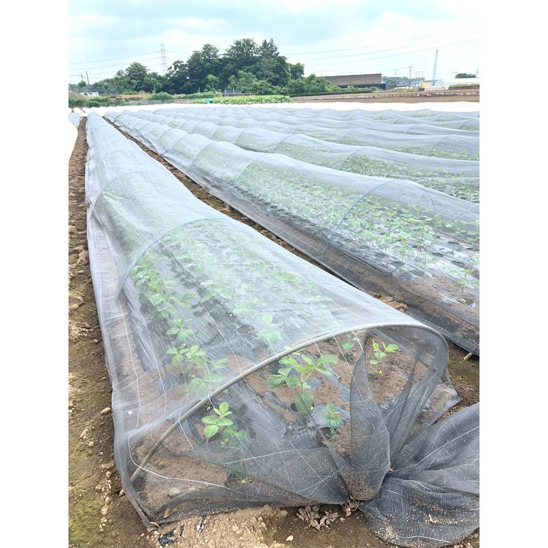 防虫ネット サンサンネット 小影、夏 1mm目合 1.8×100m 日本ワイドクロス 虫 対策 園芸 農園 防止 産卵 侵入 タS 個人宅配送不可 代引不可