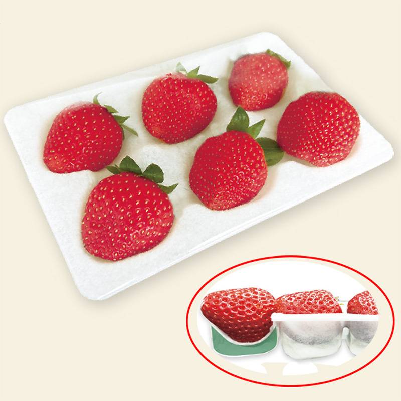 300枚 いちごハンモックトレー 133×200mm 本体 穴数選択 コバヤシ イチゴトレー 苺 パック いちご 不織布 通気性抜群 贈答用 輸出用 緩衝 日A 代引不可