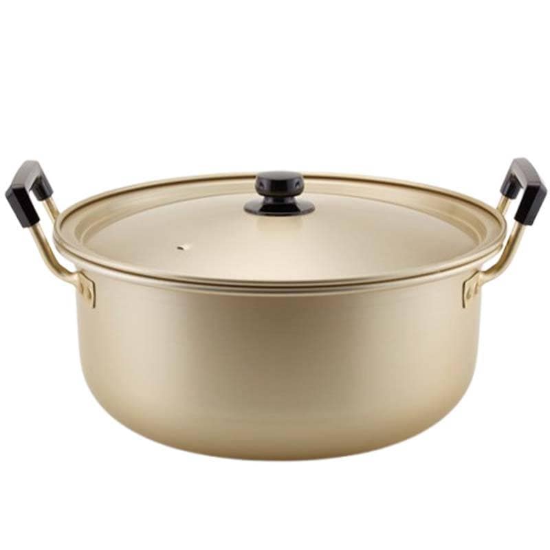 鍋 純しゅう酸味づくし 両手鍋 40cm ガス火用 国産 北陸アルミニウム なべ キッチンウェア 調理器具 金TD