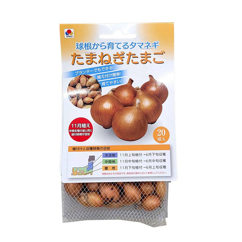 20球 たまねぎたまご 11月植え タキイ種苗 (品種：ネオアース) 玉ねぎ タマネギ 玉葱 種 栽培用 吉S DZ