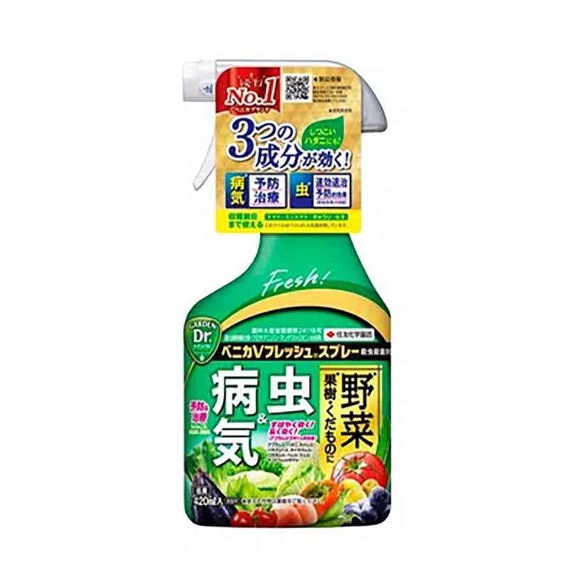 殺虫殺菌剤 ベニカVフレッシュスプレー 420ml 30本 KINCHO園芸 スプレー 病害虫対策 防除 園芸 ガーデニング カ園 個人宅配送不可 代引不可