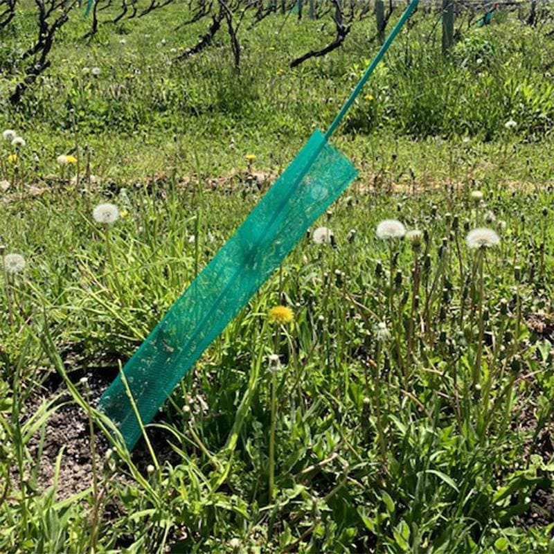 苗木用ネット 500枚  直径12cm×60cm 日鉄物産ワイヤ＆ウェルディング 害獣対策 湿気対策 苗カバー 苗木カバー 代引不可