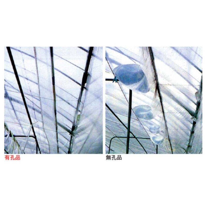 スカイコート 有孔 厚み0.075mm 幅370cm 長さ100m 原反 内張り用 透明 防滴 防霧 練込 タキロンシーアイ サT 北海道不可 個人宅配送不可 代引不可