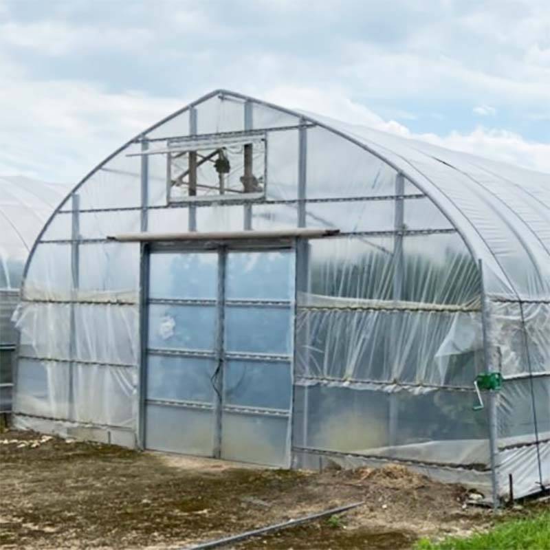 フィルムのみ 農PO 伸野果 SUN-X サンクロス 厚み0.1mm 幅230cm 長さ10m 住化積水フィルム 塗布型農PO ビニールハウス トンネル サT 個人宅配送不可 代引不可