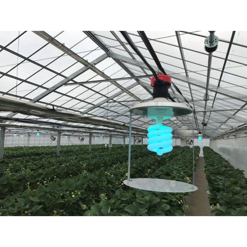 6台 近接照射器具 KS-013 鋼鈑商事 UV-B 0.7～1.2ｍ Bタイプ専用 防除 増殖抑制 成虫駆除 うどんこ病 ハダニ 害虫 農業用紫外線 アダプター ハウス タS 代引不可