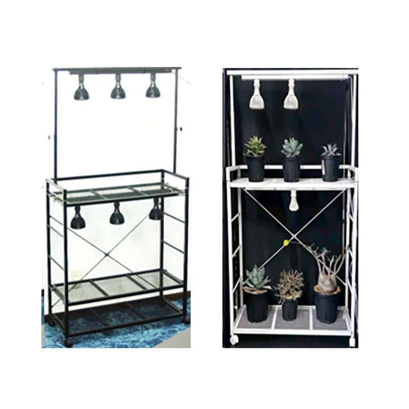 植物育成LED EverSun365 24W + プランツライトスタンドラック セット ゼンスイ プラエリア エバーサン サンロクゴー LED 園芸 カ園 個人宅配送不可 代引不可