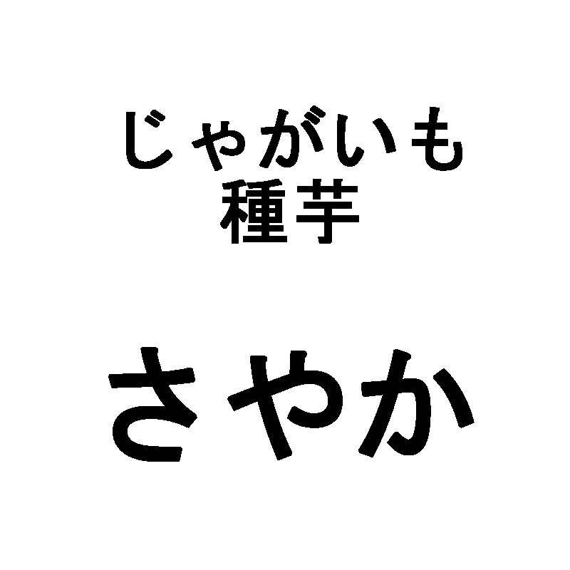 10kg 種芋 さやか 混玉 じゃがいも ジャガイモ 栽培用 福S 代引不可 産直 (登録品種名:さやか)