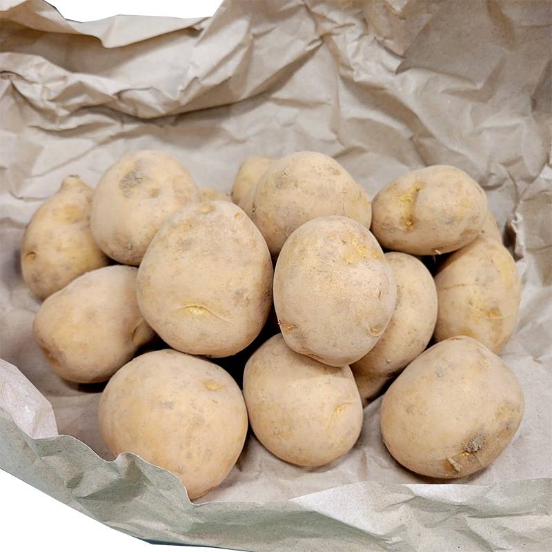 20kg 種芋 普賢丸 混玉 ジャガイモ ふげんまる じゃがいも 栽培用 福S 代引不可 産直 (登録品種名:普賢丸)