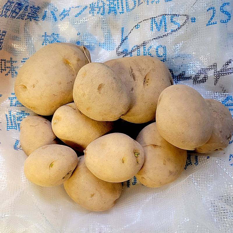 10kg 種芋 にしゆたか 混玉 ジャガイモ ニシユタカ じゃがいも 栽培用 福S 代引不可 産直 (登録品種名:にしゆたか)