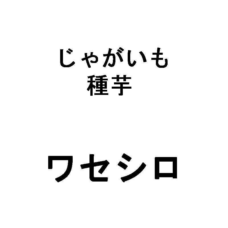 10kg 種芋 ワセシロ L玉 ワセジロ じゃがいも ジャガイモ 栽培用 福S 代引不可 産直