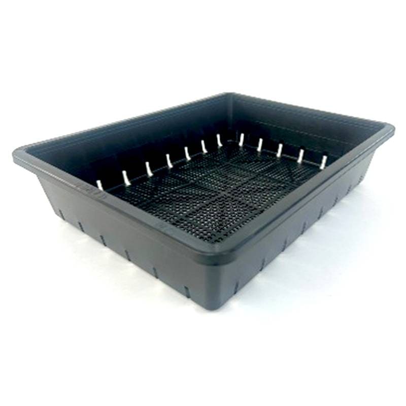 60個 育苗箱35型 黒 明和 播種 種蒔き 挿し木 家庭菜園 代引不可