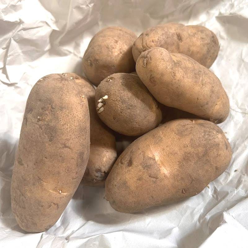 10kg 種芋 メークイン L ジャガイモ じゃがいも栽培用 吉S DZ