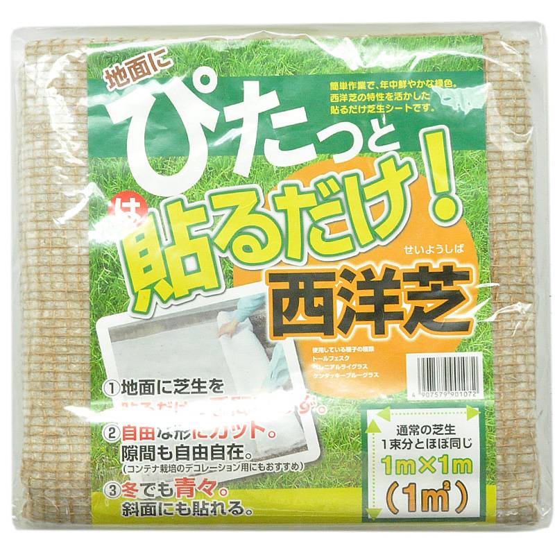 20袋 ぴたっと貼るだけ西洋芝 200g 芝 芝生 貼るだけ コンテナ栽培にも 庭 ガーデニング 自然応用科学 サT D