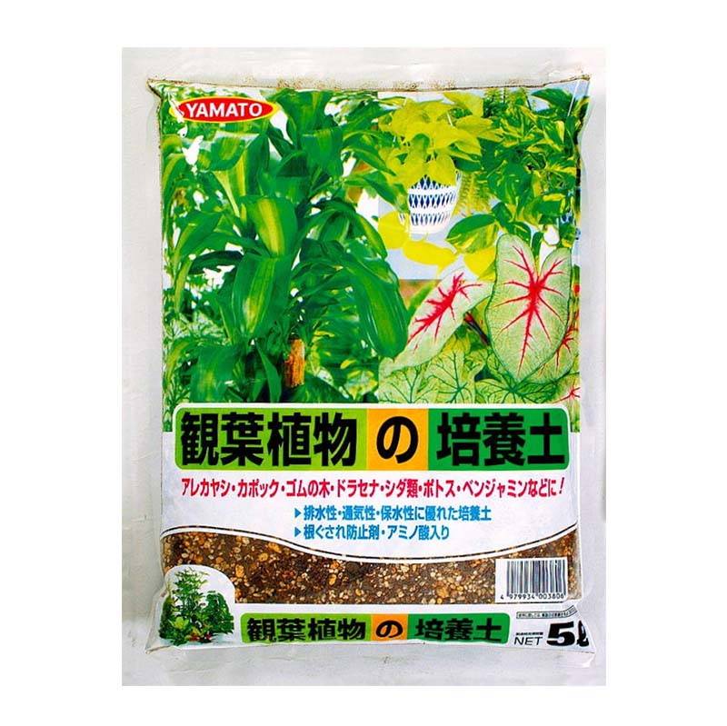 培養土 観葉植物培養土 5L 10袋 土 植物 観葉植物 園芸 栽培 ガーデニング ヤマトコーポレーション 吉S 代引不可