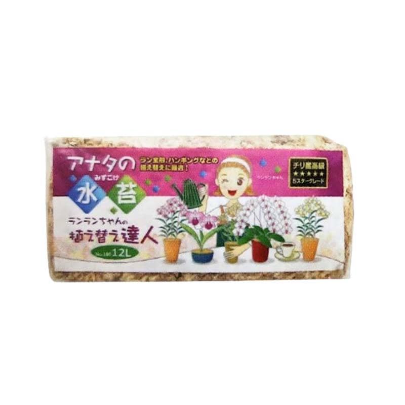 水苔 チリ産水苔 12L 40袋 苔 洋らん 蘭 花 園芸 栽培 ガーデニング ヤマトコーポレーション 吉S 代引不可