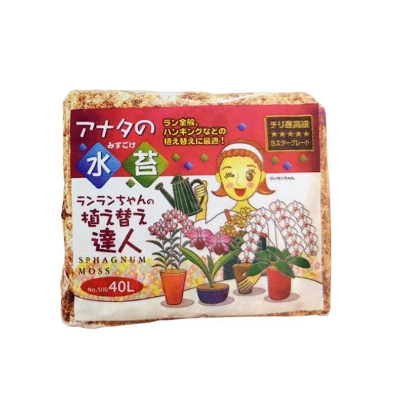 水苔 チリ産水苔 40L 12袋 苔 洋らん 蘭 花 園芸 栽培 ガーデニング ヤマトコーポレーション 吉S 代引不可