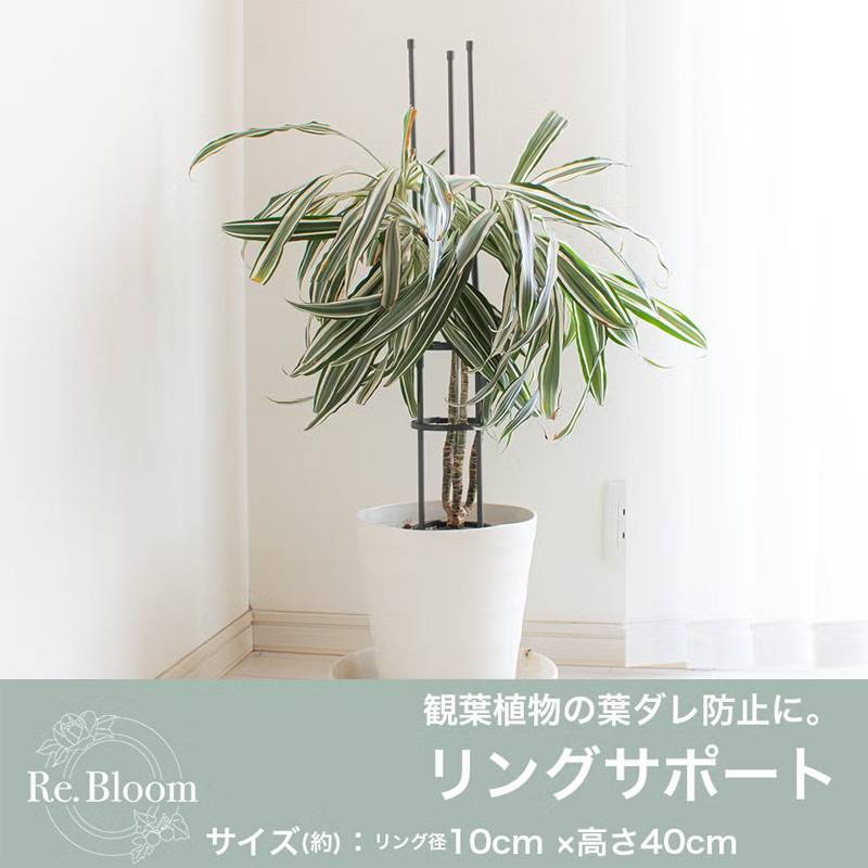 30個 リングサポート リング径10cm 高さ40cm アンスラサイトグレー 観葉植物 園芸資材 ガーデニング 庭 植物 花 第一ビニール 代引不可 個人宅配送不可