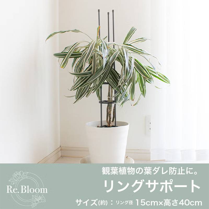 30個 リングサポート リング径15cm 高さ40cm アンスラサイトグレー 観葉植物 園芸資材 ガーデニング 庭 植物 花 第一ビニール 代引不可 個人宅配送不可