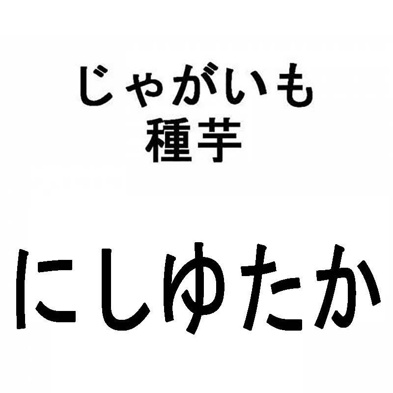 10kg 種芋 にしゆたか 混玉 ジャガイモ ニシユタカ じゃがいも 栽培用 秋ジャガ 米S 代引不可 (登録品種名:にしゆたか)