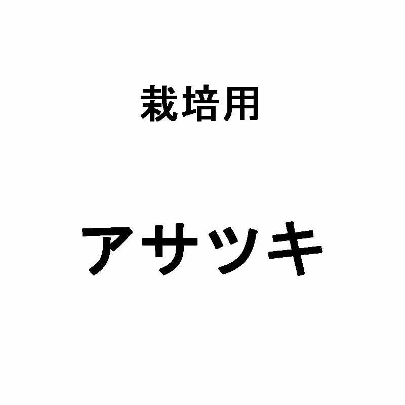 400g 種あさつき アサツキ アサヅキ あさづき 栽培用 米S 代引不可