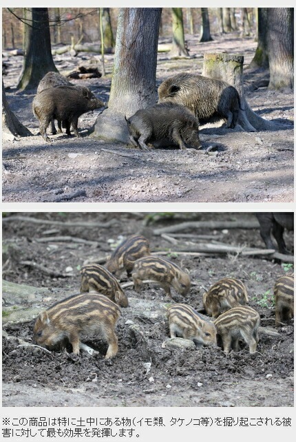 いのししペレット 2kg いのしし用忌避剤 いのしし対策 エーステクノロジー DZ