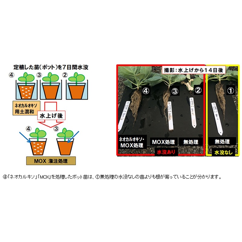 30袋 MOX 酸素供給剤 10kg 発根促進 根張り 肥料吸収 向上 酸素供給 タS 個人宅配送不可 代引不可 北海道不可