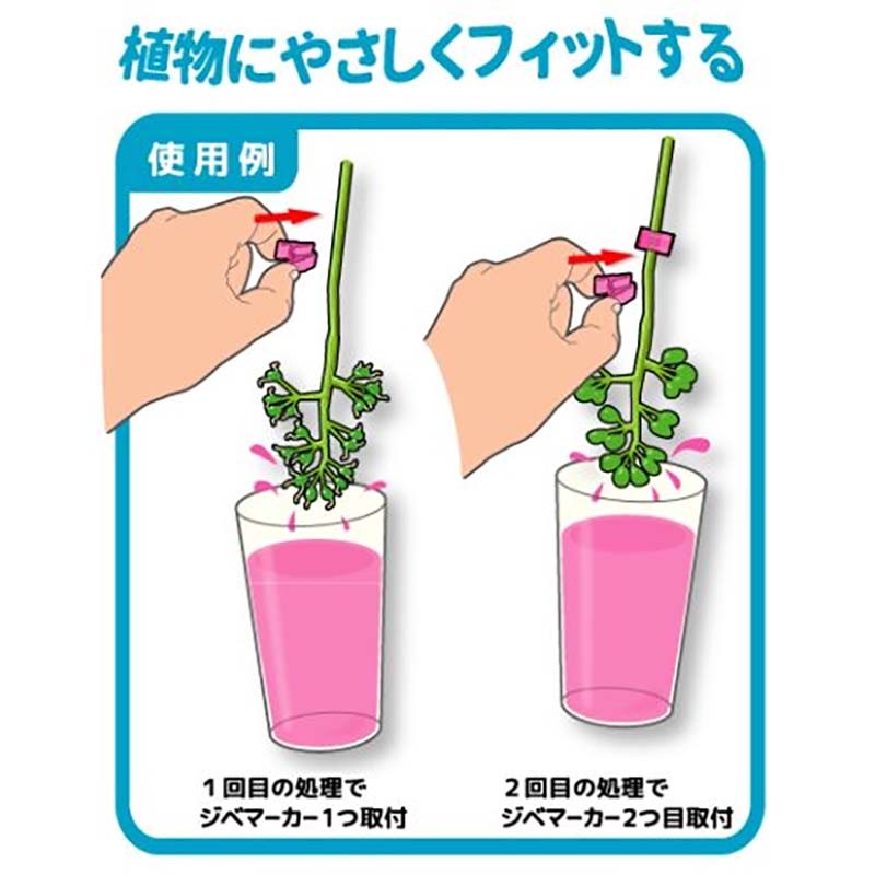 500個 ジベマーカー ビビッと！ 日本製 ビビッドカラー ジベレリン処理用 目印 マーカー クリップ 葡萄 ぶどう ブドウ 果樹用品 果樹資材 農業 シーム タS DZ