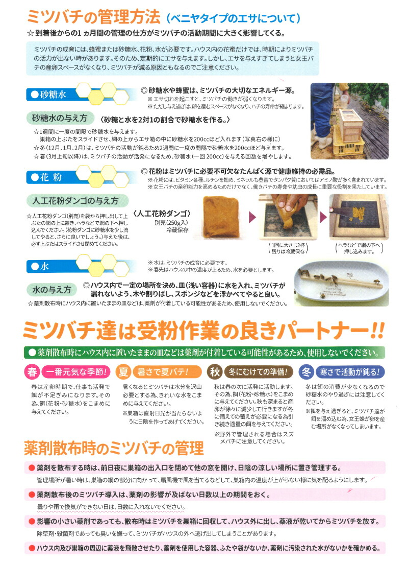 ミツバチ 受粉用 ミツバチボーヤ6000 長期 交配用 女王蜂付 蜜蜂 6000匹 花粉 交配 授粉 蜂 はち スイカ メロン ピーマン ナス イチゴ 西岡養蜂園 タS 代引不可