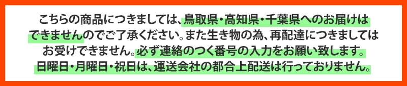 ミツバチ 受粉用 ミツバチボーヤ6000 長期 交配用 女王蜂付 蜜蜂 6000匹 花粉 交配 授粉 蜂 はち スイカ メロン ピーマン ナス イチゴ 西岡養蜂園 タS 代引不可