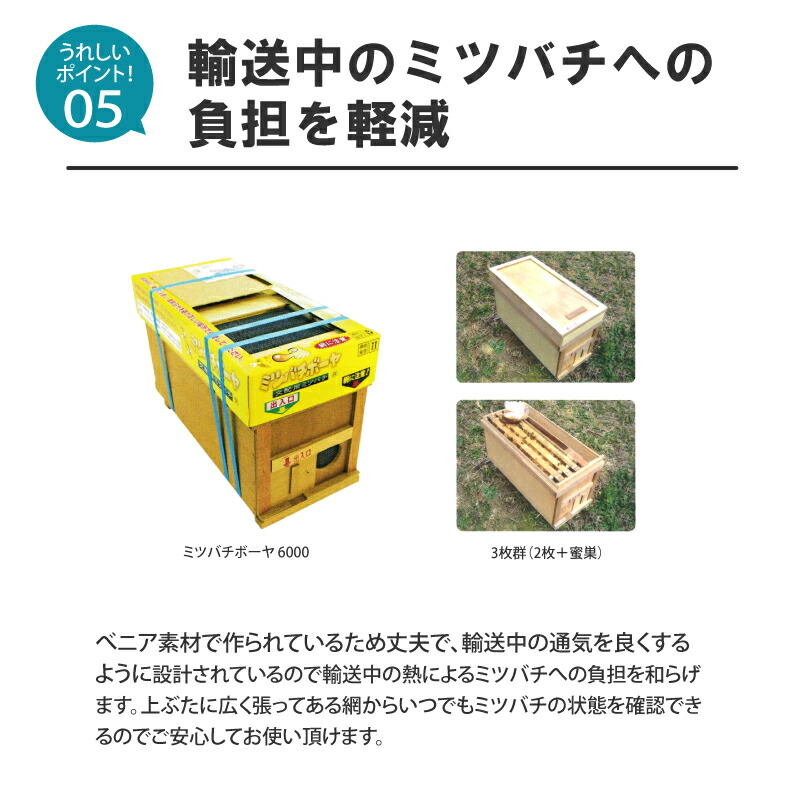 ミツバチ 受粉用 ミツバチボーヤ6000 長期 交配用 女王蜂付 蜜蜂 6000匹 花粉 交配 授粉 蜂 はち スイカ メロン ピーマン ナス イチゴ 西岡養蜂園 タS 代引不可