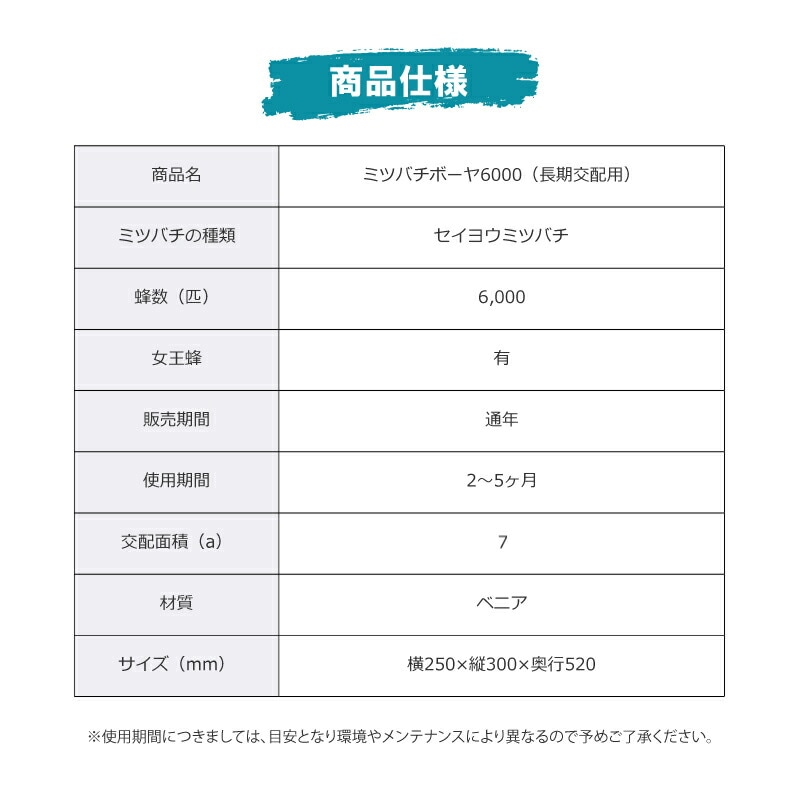 ミツバチ 受粉用 ミツバチボーヤ6000 長期 交配用 女王蜂付 蜜蜂 6000匹 花粉 交配 授粉 蜂 はち スイカ メロン ピーマン ナス イチゴ 西岡養蜂園 タS 代引不可