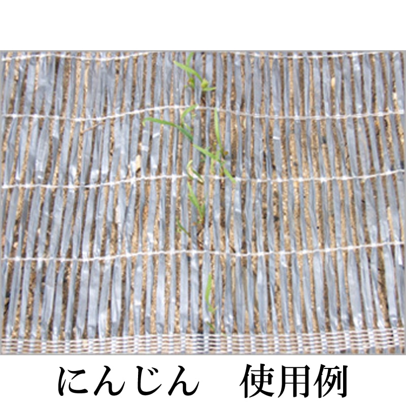4本 1m×100m シルバー 芽出たいシート 遮光ネット S1606 寒冷紗 タキイ種苗 個人宅配送不可 代引不可