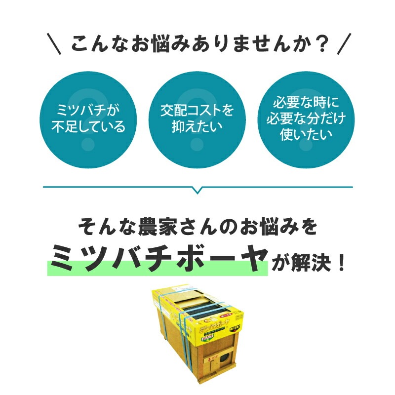 ミツバチ 受粉用 ミツバチボーヤ4000 長期 交配用 女王蜂付 蜜蜂 4000匹 花粉 交配 授粉蜂 はち スイカ メロン ピーマン ナス イチゴ 西岡養蜂園 タS 代引不可