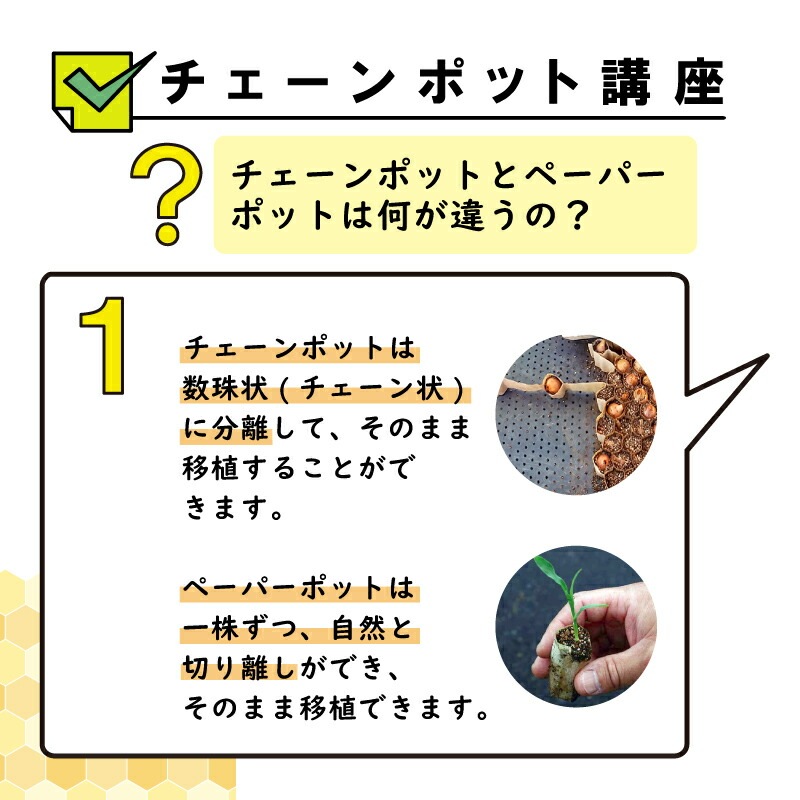 LPチェーンポット LP303-15 75冊 (個) 株間15cm 264鉢 播種 種まき 育苗 青ネギ ニラ 軟弱野菜 lp303-15 チェーンポット 紙筒 ニッテン 日本甜菜製糖 タSZ