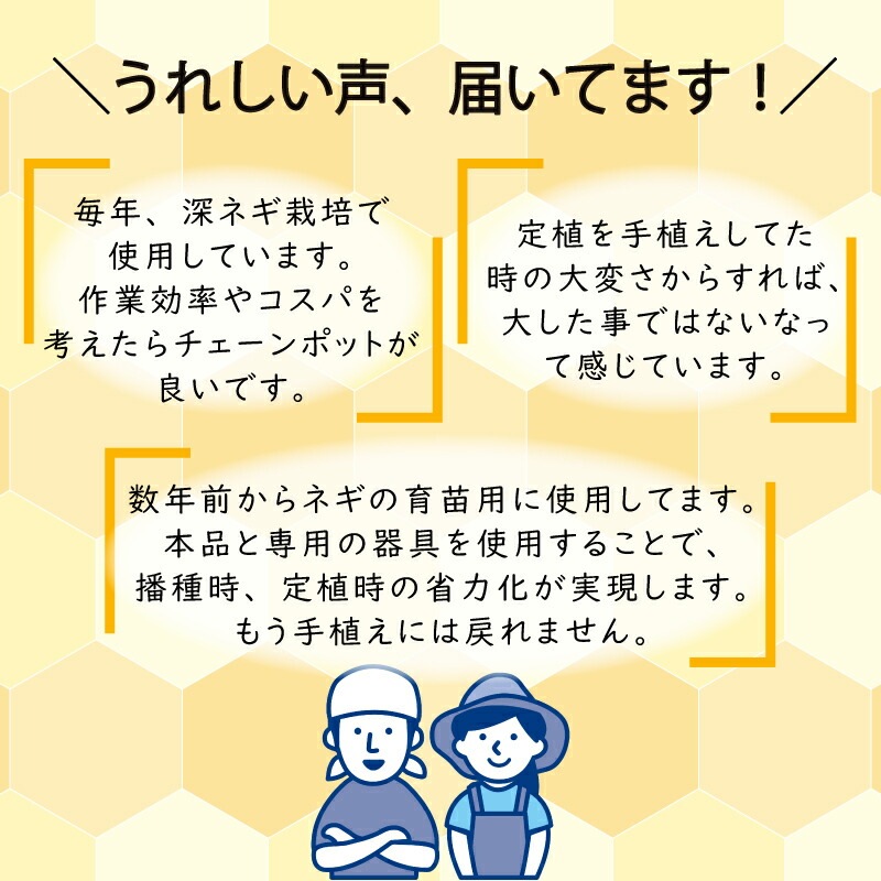 LPチェーンポット LP303-15 75冊 (個) 株間15cm 264鉢 播種 種まき 育苗 青ネギ ニラ 軟弱野菜 lp303-15 チェーンポット 紙筒 ニッテン 日本甜菜製糖 タSZ