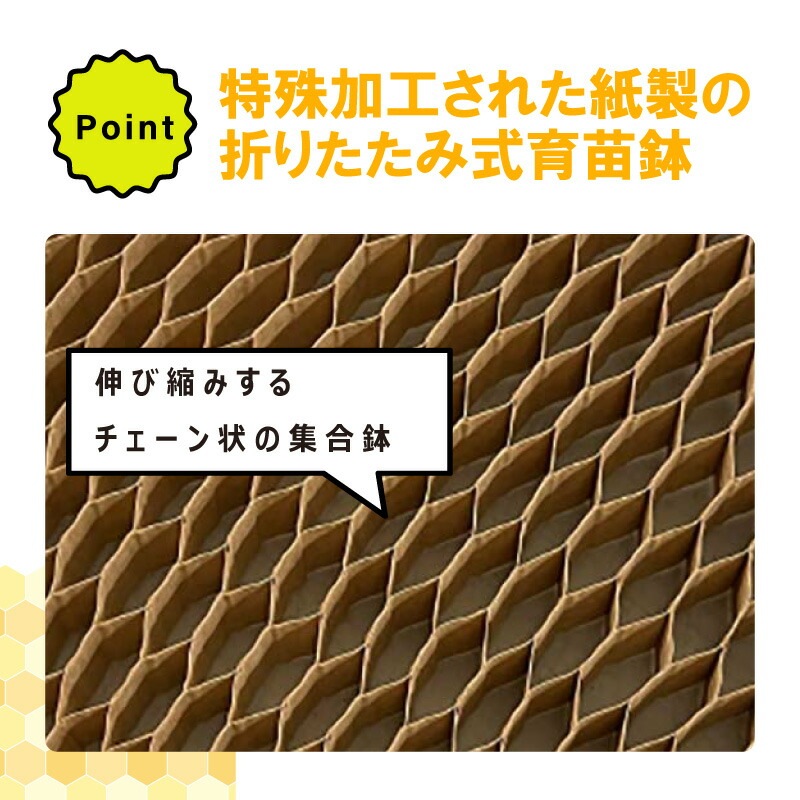 LPチェーンポット LP303-15 75冊 (個) 株間15cm 264鉢 播種 種まき 育苗 青ネギ ニラ 軟弱野菜 lp303-15 チェーンポット 紙筒 ニッテン 日本甜菜製糖 タSZ