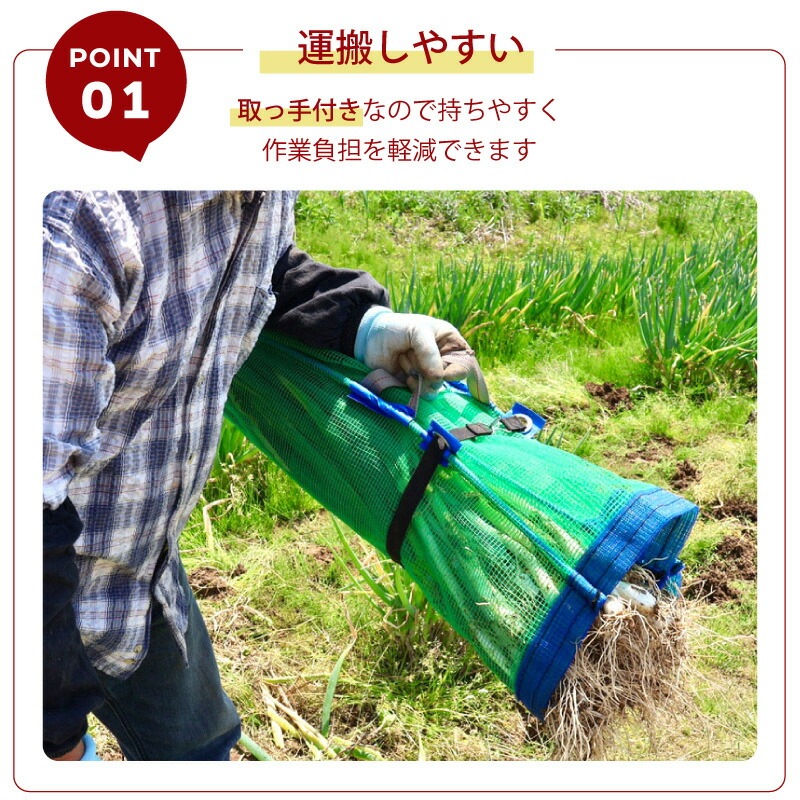 1枚 ネギマキネット Sタイプ 60cm×100cm ネギ 枝豆 花 収穫ネット ねぎ 葱 収穫 運搬 保管 ネギ巻き ねぎまき ねぎ巻き ネット シート 日本マタイ DZ