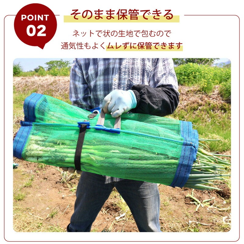 1枚 ネギマキネット Sタイプ 60cm×100cm ネギ 枝豆 花 収穫ネット ねぎ 葱 収穫 運搬 保管 ネギ巻き ねぎまき ねぎ巻き ネット シート 日本マタイ 日M Z