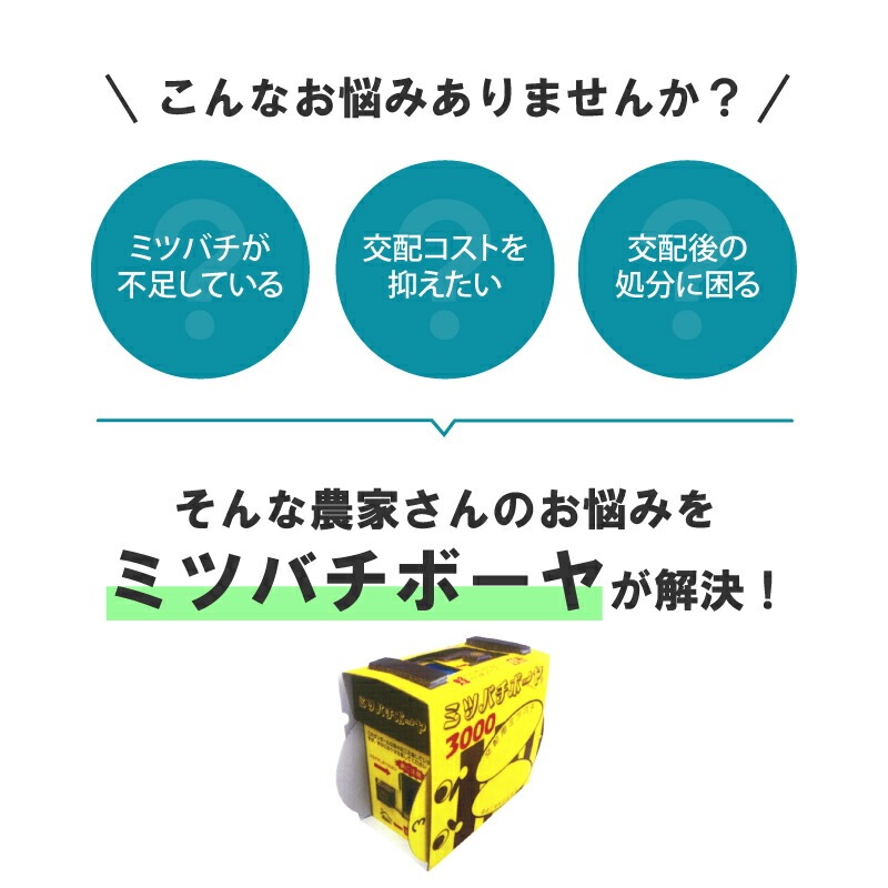 ミツバチ 受粉用 ミツバチボーヤ3000 短期 交配用 女王蜂なし 蜜蜂 3000匹 花粉 交配 授粉 蜂 スイカ メロン ピーマン ナス イチゴ 西岡養蜂園 タS 代引不可