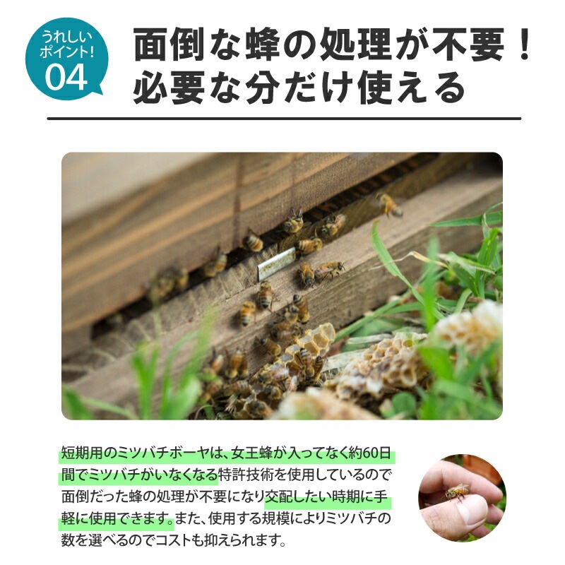 ミツバチ 受粉用 ミツバチボーヤ3000 短期 交配用 女王蜂なし 蜜蜂 3000匹 花粉 交配 授粉 蜂 スイカ メロン ピーマン ナス イチゴ 西岡養蜂園 タS 代引不可