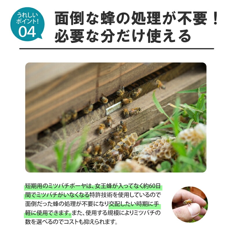 ミツバチ 受粉用 ミツバチボーヤ2000 短期 交配用 女王蜂なし 蜜蜂 2000匹 花粉 交配 授粉 蜂 スイカ メロン ピーマン ナス イチゴ 西岡養蜂園 タS 代引不可