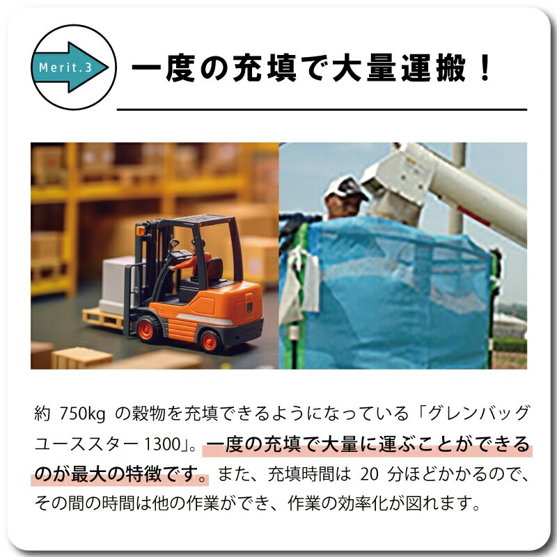 1個 グレンバッグユーススター 1300L 750kg ライスセンター 一般乾燥機 兼用 自立式 米 稲刈り 籾 もみ 麦 大麦 豆 収穫 出荷 移動 フレコン 田中産業 シBDZ